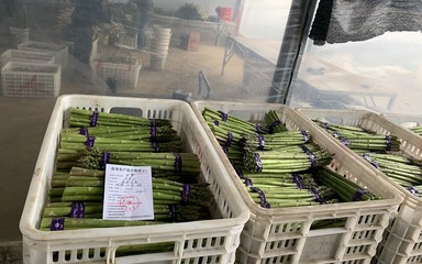 我縣開出首批《食用農產品合格證》，食用農產品初加工邁入規范管理新階段