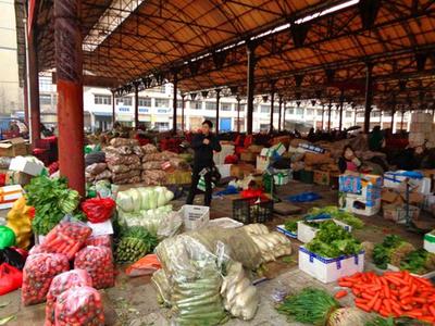 倒春寒再臨風險與果農科學防凍指南