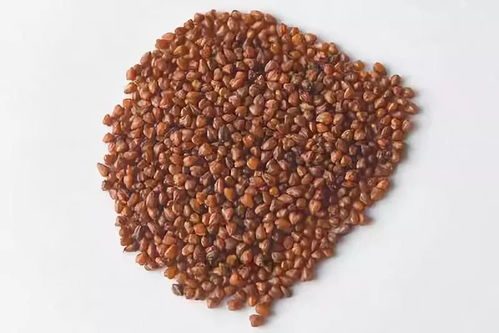 海外熱銷，泰州三農產品基地榮膺省級示范，這些特產你嘗過嗎？